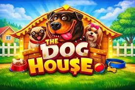 The Dog House